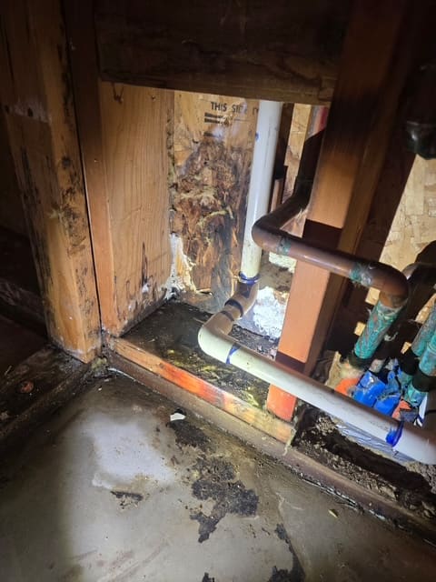 Blackened wall studs and stained slab from a hidden AC condensate leak in Chino Hills