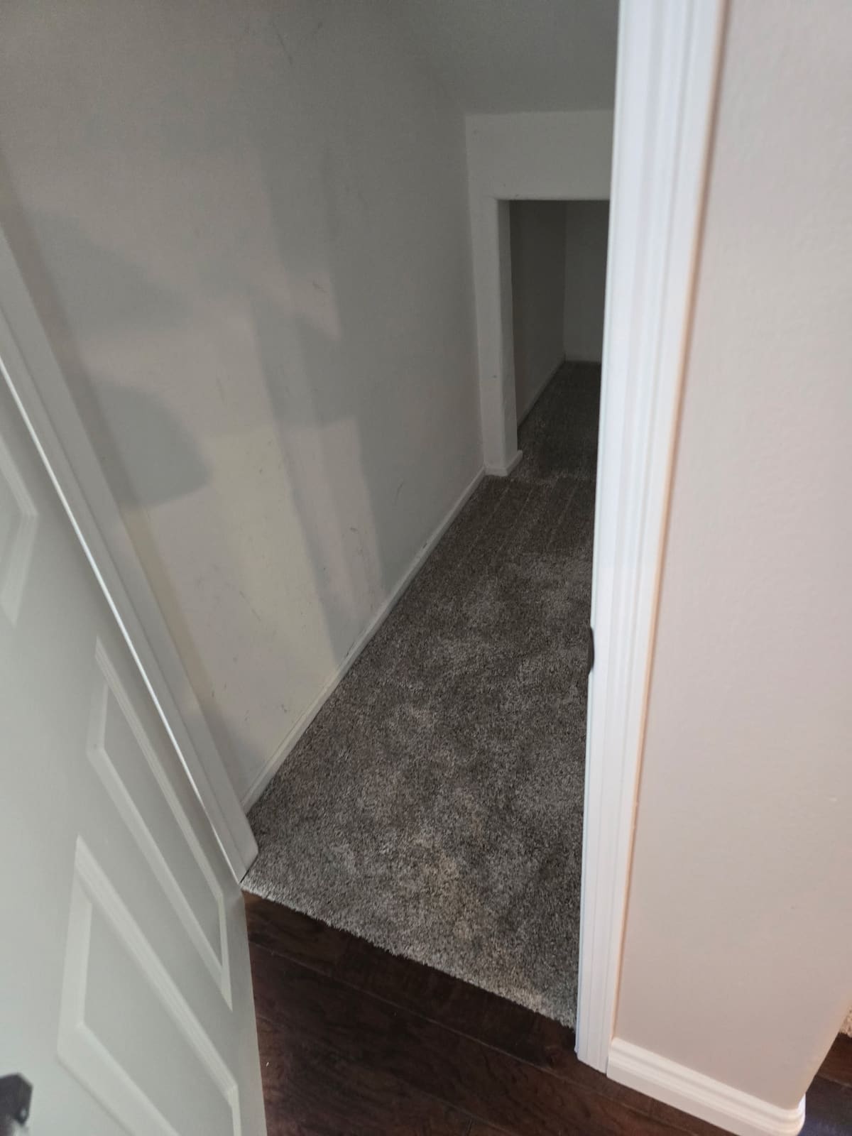 Damp carpet in the hallway near the under stair closet of an Aliso Viejo home