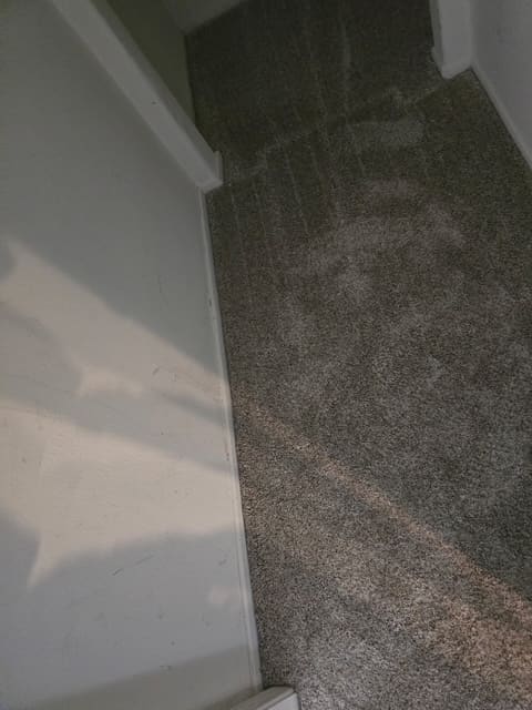 Close view of the damp carpet patch traced during leak detection